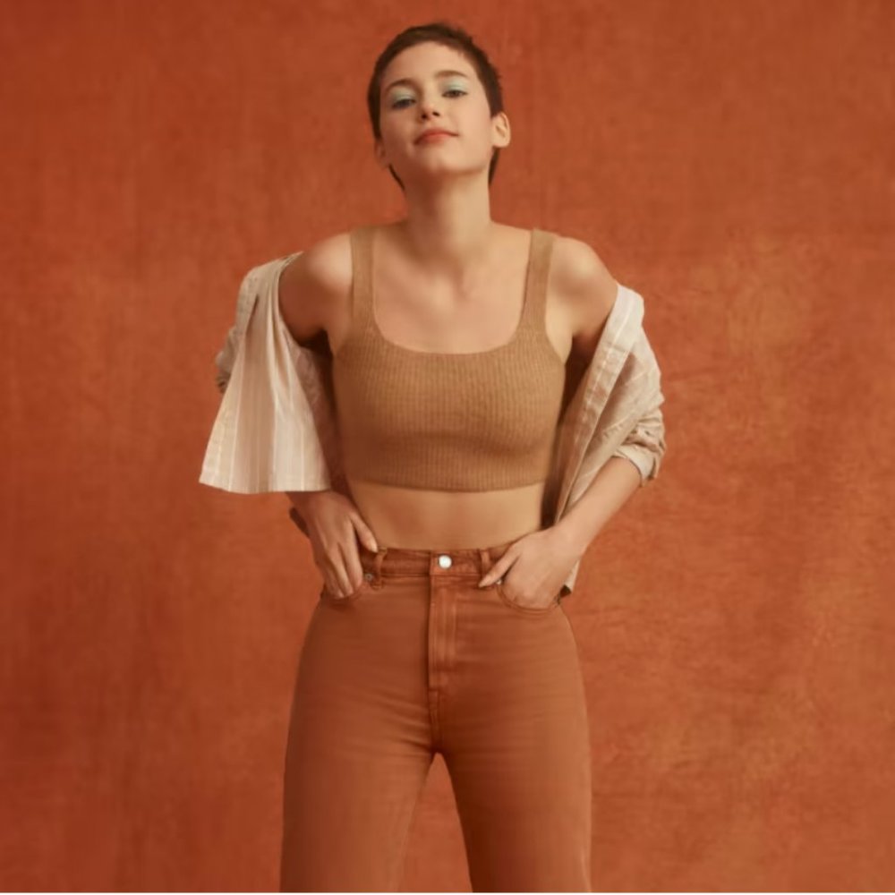Everlane Way High Jean in Archroma Rich Earth, Size 31 Regular